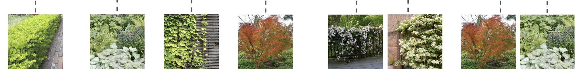 Visualisierung der Pflanzenverwendung im Eingangsbereich