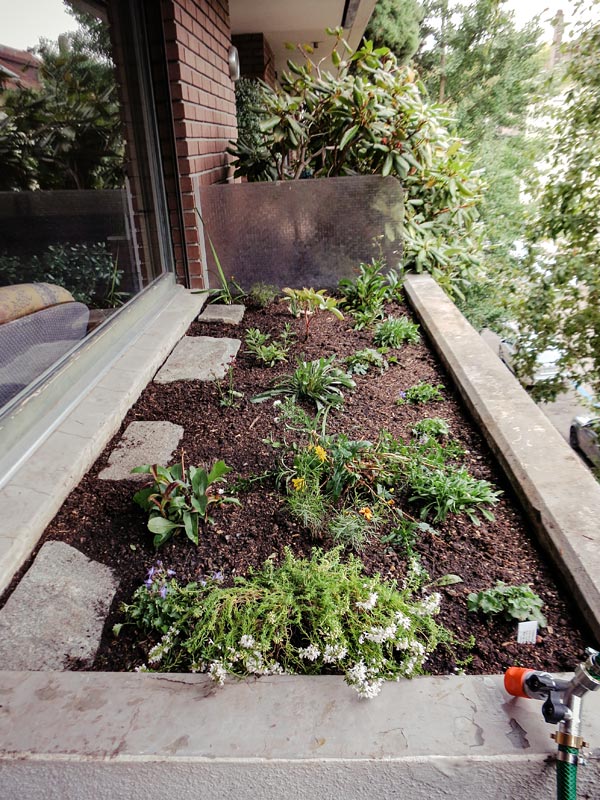 Neu bepflanzter Trog im Herbst.