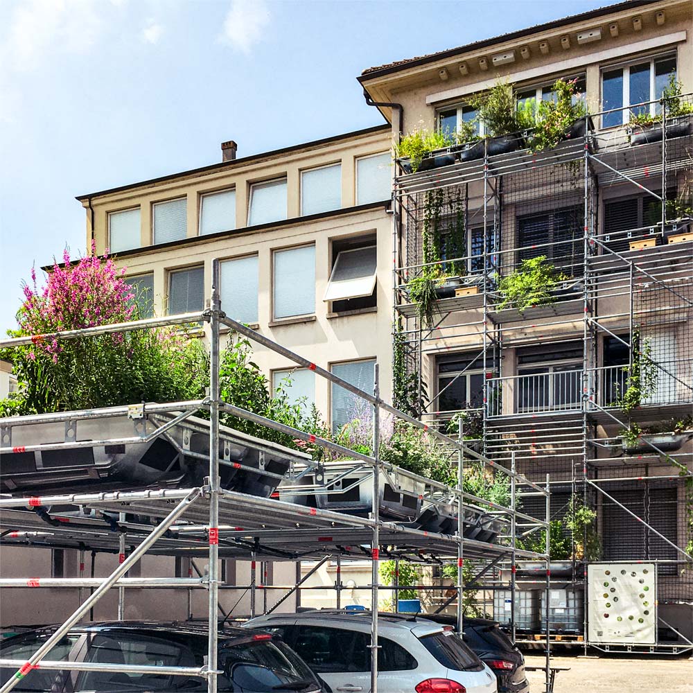 Bepflanzung des Carports im 1., Bepflanzung der Fassade im 2. Standjahr.
