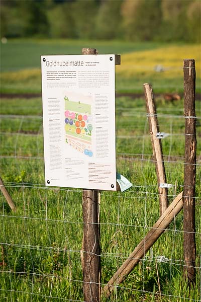 Infotafel des Projekts