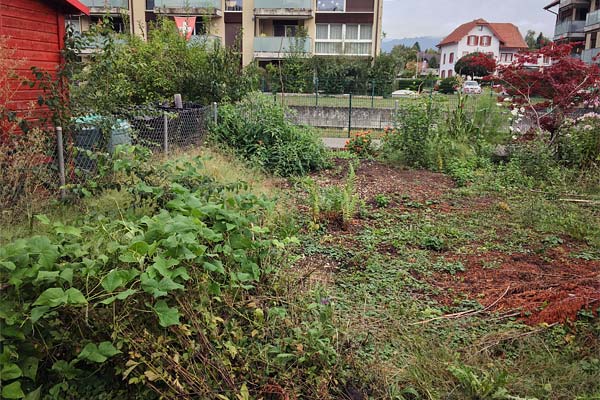 Garten vor den Arbeiten
